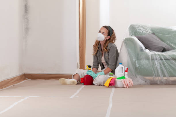 Reliable Mold Testing contractor in Millersville, MD by WQB Mold Removal